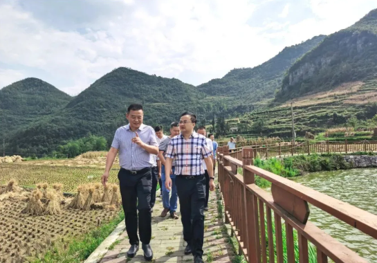 畢節(jié)工業(yè)職業(yè)技術學院黨委書記李涌、院長邱國援率隊到鄉(xiāng)村振興駐村聯(lián)系工作點調研
